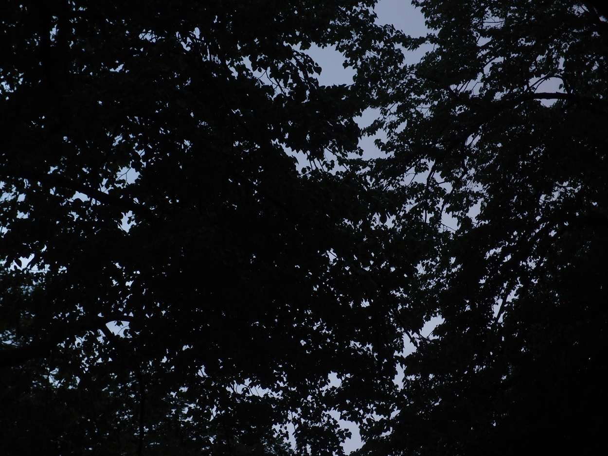 2020-05-01 'sand' Remix Teil 12 (Finale, 2te Reprise + Aufnahme Tonband) (Audio + Video)